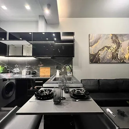 Luxury Black And White Interior & Rooftop Terrace *