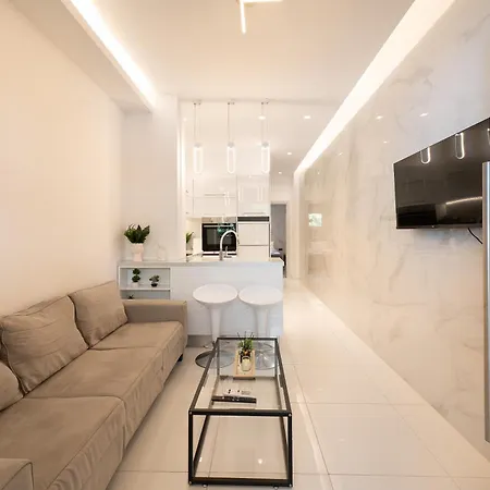Luxury Black And White Interior & Rooftop Terrace Apartment