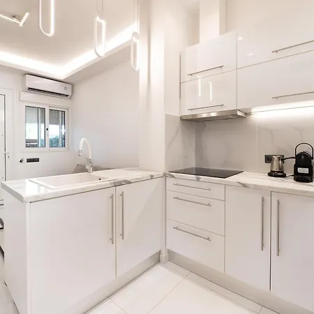 Luxury Black And White Interior & Rooftop Terrace Apartment