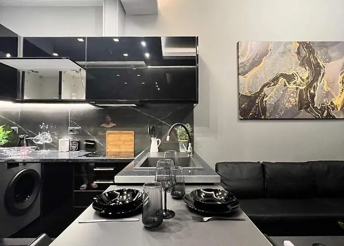 Luxury Black And White Interior & Rooftop Terrace *