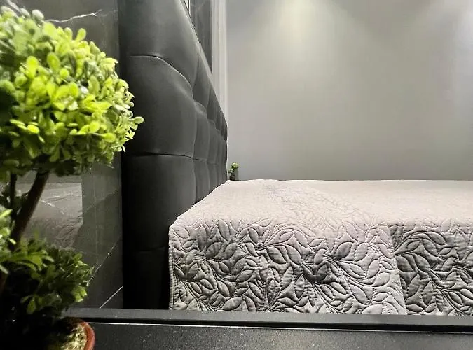 Apartment Luxury Black And White Interior & Rooftop Terrace *